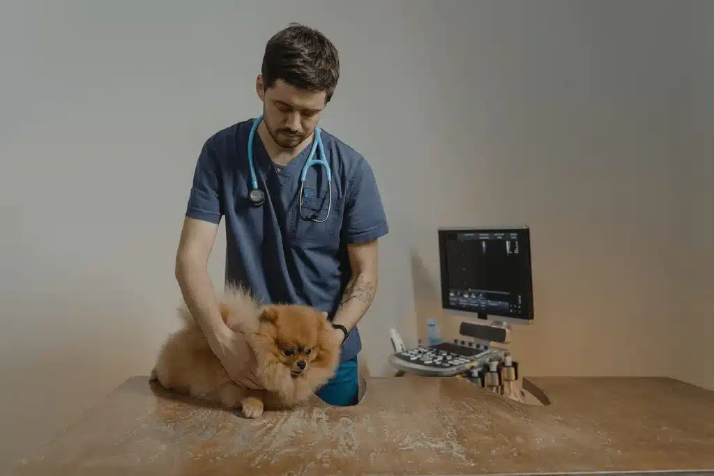 vet practice insurance in Worcestershire vet practice insurance in Worcestershire