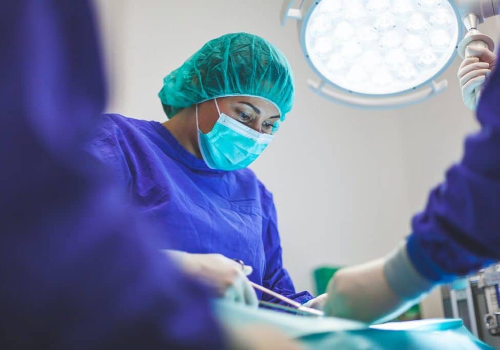 artur-tumasjan-qLzWvcQq-V8-unsplash Veterinary Surgery Insurance